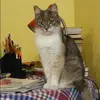 Отзыв от Инесса Дмитриева